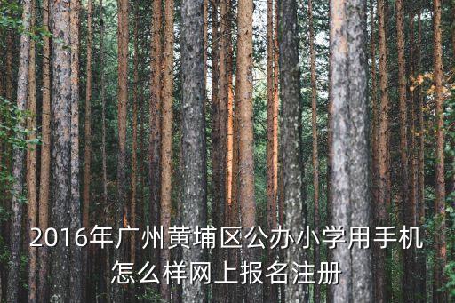 2020廣州小學注冊，廣州市小學生畢業如何到中學注冊