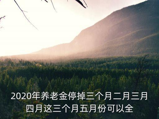2020年養老金停掉三個月二月三月四月這三個月五月份可以全