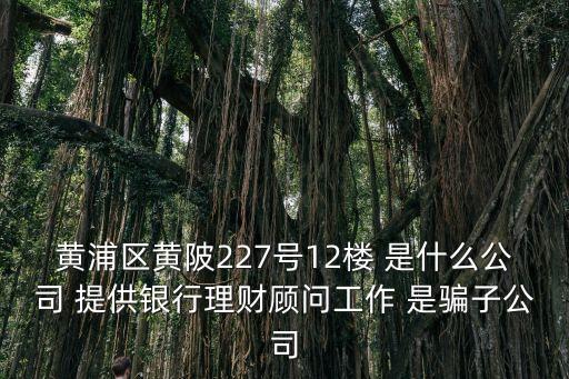 黃浦區黃陂227號12樓 是什么公司 提供銀行理財顧問工作 是騙子公司
