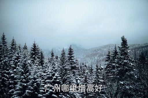 廣州哪里增高好