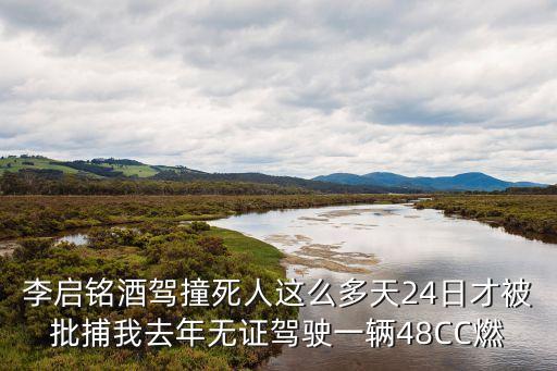 李啟銘酒駕撞死人這么多天24日才被批捕我去年無證駕駛一輛48CC燃