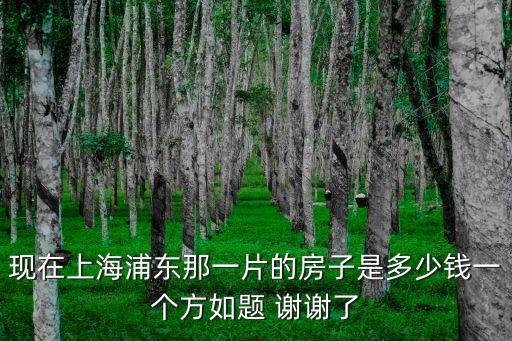 現在上海浦東那一片的房子是多少錢一個方如題 謝謝了