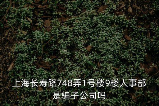 上海市星聯科研大廈1號樓9層，網易公司的地址在哪