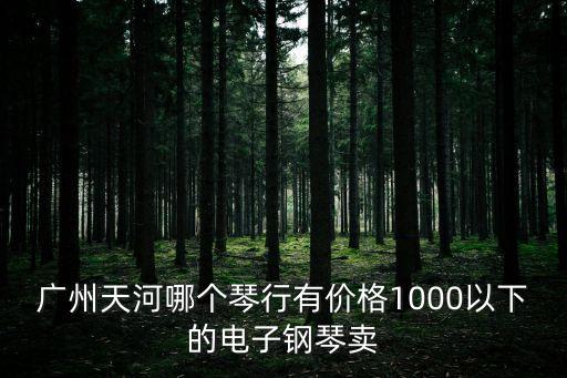 廣州天河哪個琴行有價格1000以下的電子鋼琴賣
