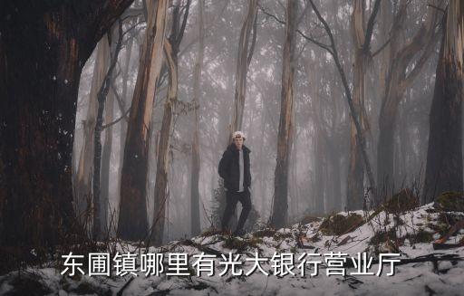 廣州天河東圃光大銀行地址，東圃鎮(zhèn)哪里有光大銀行營業(yè)廳