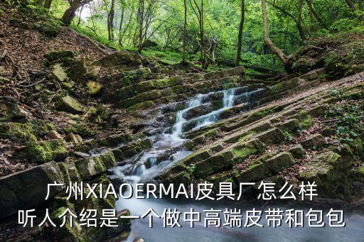 廣州XIAOERMAI皮具廠怎么樣聽人介紹是一個做中高端皮帶和包包