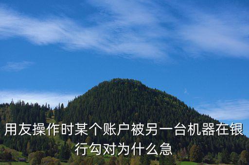 用友操作時某個賬戶被另一臺機器在銀行勾對為什么急