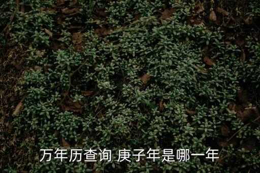 庚子鼠年，2020是什么年