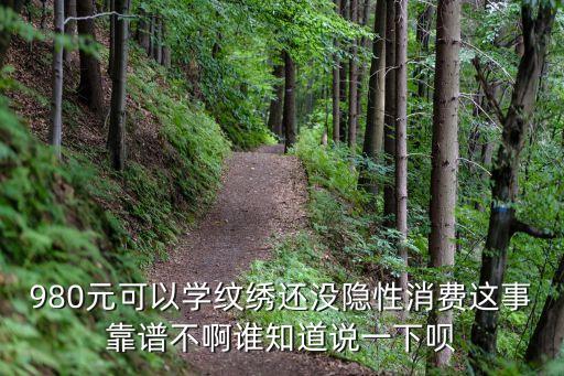 980元可以學(xué)紋繡還沒隱性消費這事靠譜不啊誰知道說一下唄