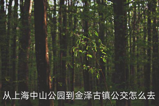 從上海中山公園到金澤古鎮(zhèn)公交怎么去