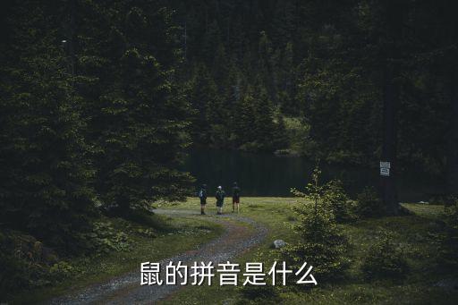 鼠的拼音是什么