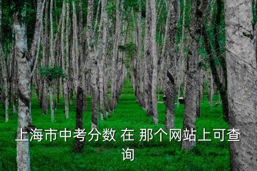 上海市中考分?jǐn)?shù) 在 那個網(wǎng)站上可查詢
