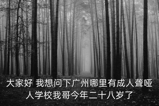 大家好 我想問下廣州哪里有成人聾啞人學校我哥今年二十八歲了