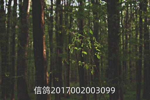 2017年廣州金羽公棚，信鴿2017002003099