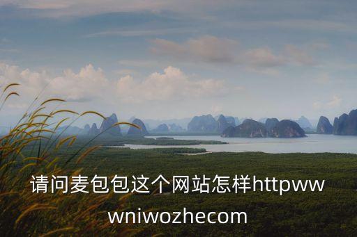 請問麥包包這個網站怎樣httpwwwniwozhecom
