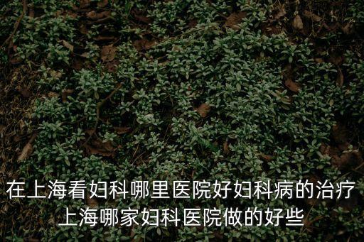 在上海看婦科哪里醫(yī)院好婦科病的治療上海哪家婦科醫(yī)院做的好些