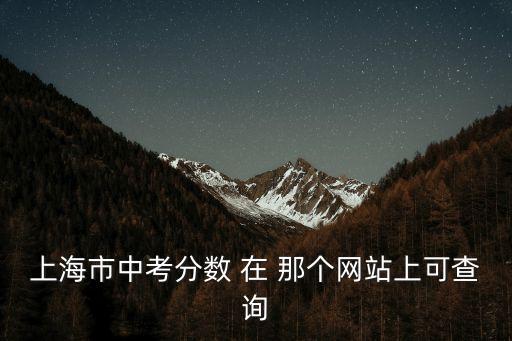 上海市中考分?jǐn)?shù) 在 那個(gè)網(wǎng)站上可查詢