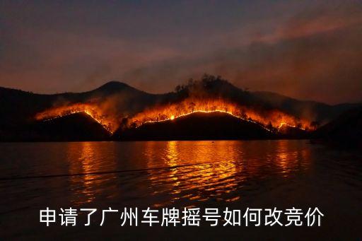 申請了廣州車牌搖號如何改競價