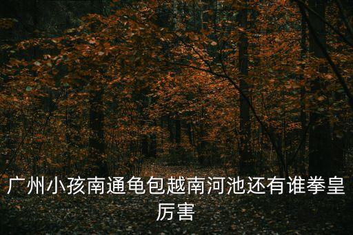 拳王廣州小孩，廣州小孩南通龜包越南河池還有誰拳皇厲害