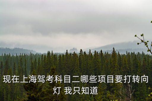 上海市c2科目二考試項目，C2駕照科目二考試內容有哪些