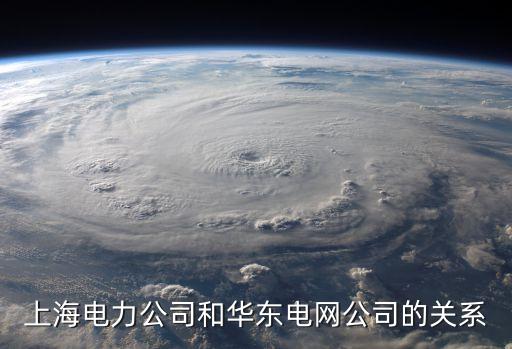 江蘇省上海市電力公司，上海電力股份在江蘇有多少電廠