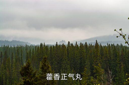 藿香正氣丸