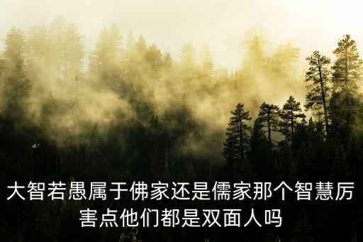 大智若愚屬于佛家還是儒家那個智慧厲害點他們都是雙面人嗎