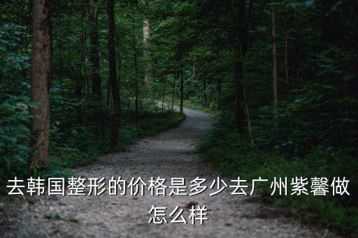 去韓國整形的價格是多少去廣州紫馨做怎么樣