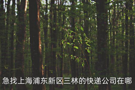 上海市浦東藍村路的菜鳥驛站，上海浦東藍村路這邊有SEMIR專賣店嗎