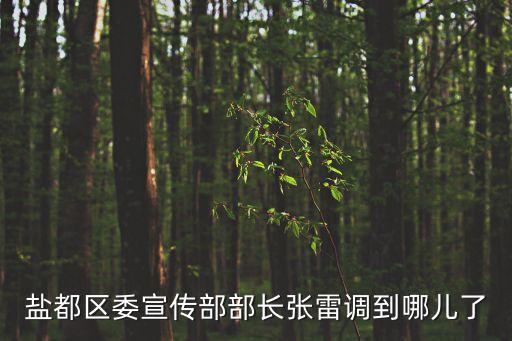 鹽都區委宣傳部部長張雷調到哪兒了