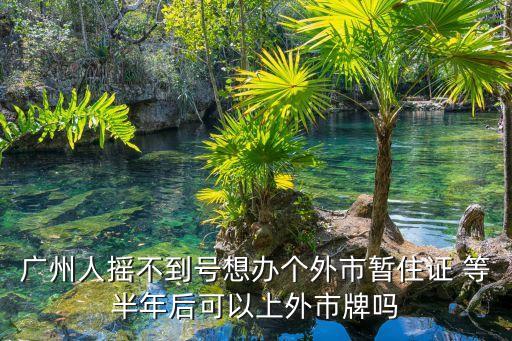 代辦廣州人上外地牌，廣州人可以委托外地人上車牌嗎本人是廣州戶籍購買了一臺小車