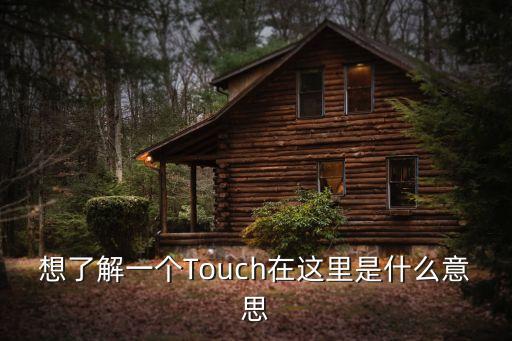想了解一個Touch在這里是什么意思