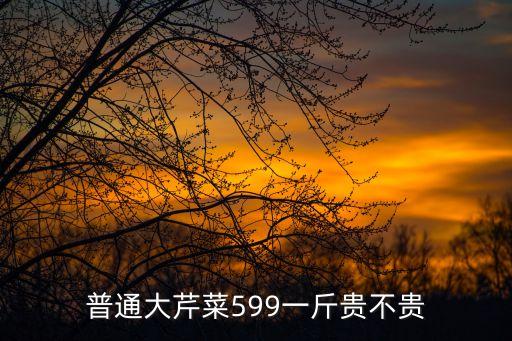芹菜圖片大全，把芹菜放進紅色的水中它的橫切面和縱切面長什么樣圖片  搜