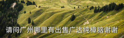 請問廣州哪里有出售廣達(dá)純樟腦謝謝