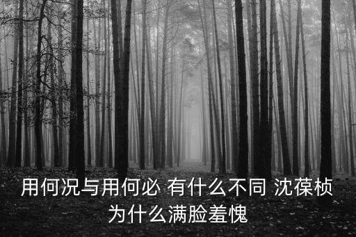 沈葆楨，何況 和 何必 有什么區(qū)別 沈葆楨為何滿臉羞愧