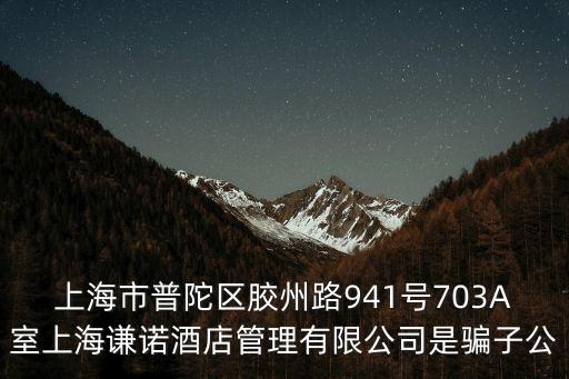 上海市王小九，上海好成食品發(fā)展有限公司 地址是在上海市閔行區(qū)江川路2017號(hào)是
