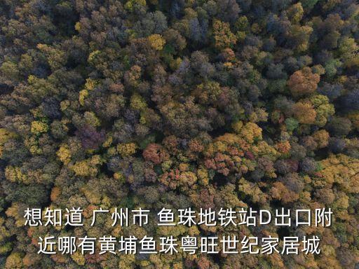 想知道 廣州市 魚珠地鐵站D出口附近哪有黃埔魚珠粵旺世紀家居城