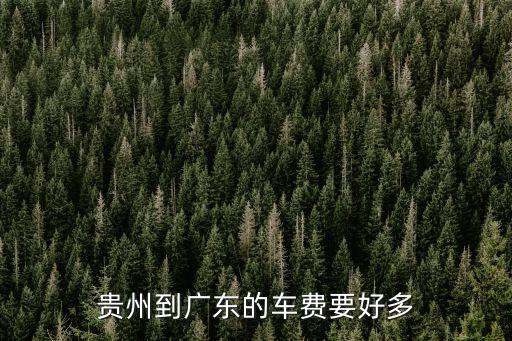 從貴州到廣州要多少車費，貴州到廣東的車費要好多