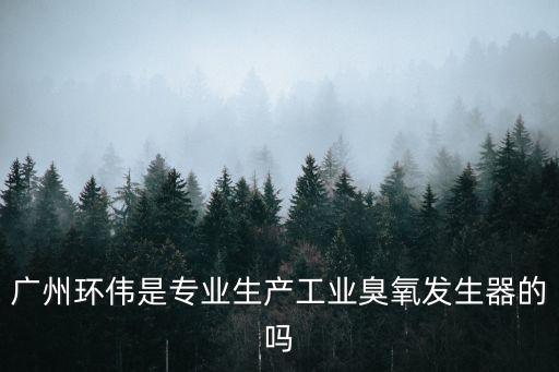 廣州環偉是專業生產工業臭氧發生器的嗎