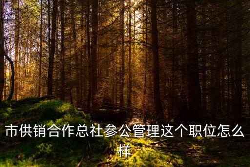 市供銷合作總社參公管理這個職位怎么樣