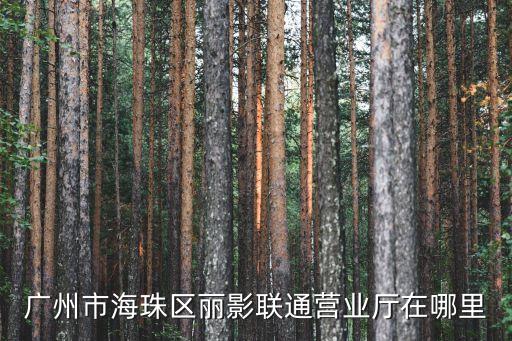 廣州市海珠區麗影聯通營業廳在哪里