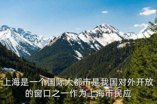 上海市十四五新愿景，上海浦東開發開放的目的是解決上海面臨的城市問題