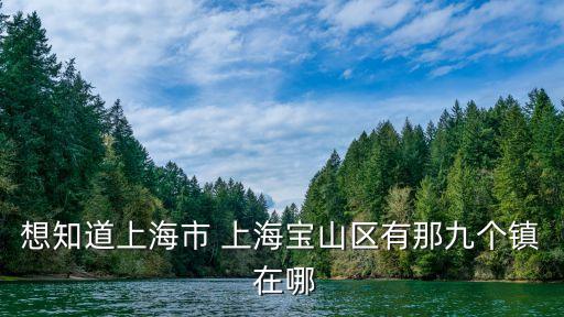 上海市寶山區大場鎮前副鎮長，想知道上海市 上海寶山區有那九個鎮 在哪