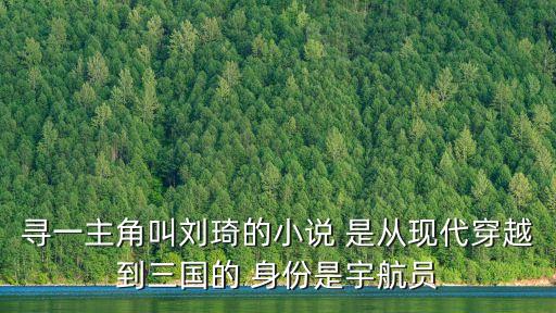三國之劉琦爭鋒，新三國 劉琦誰演的
