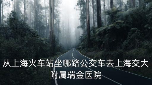 上海市中國館到上海瑞金醫院，上海瑞金醫院地址從瑞安坐高鐵怎么走