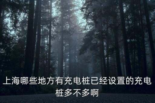 上海哪些地方有充電樁已經設置的充電樁多不多啊
