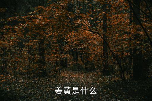 姜黃是什么