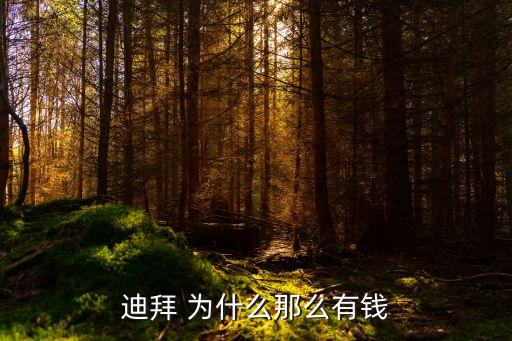 迪拜為什么有錢，迪拜人為什么那么有錢