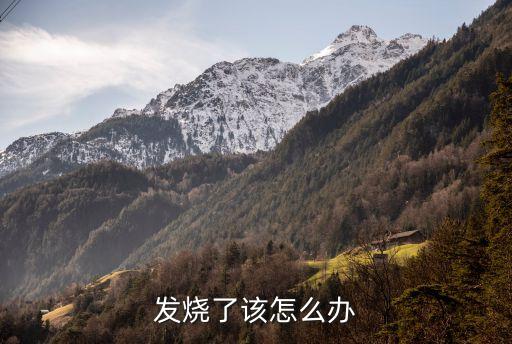 發燒了該怎么辦
