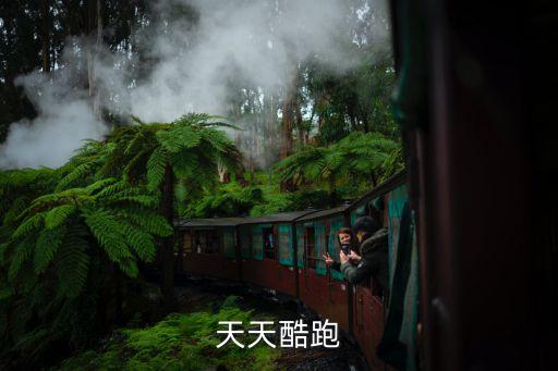 天天酷跑電腦版，天天跑酷電腦能玩嗎